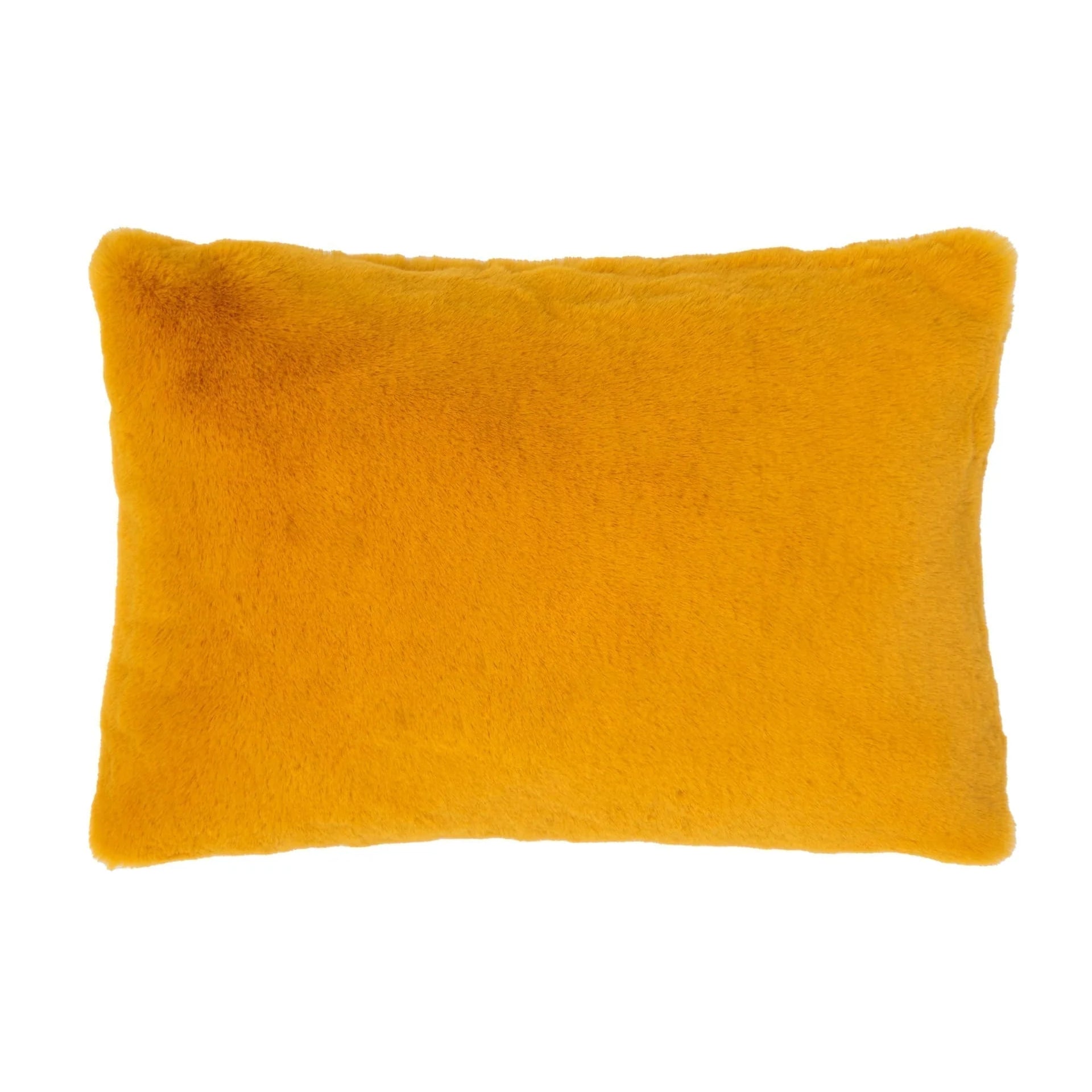 Saloni Sunbeam