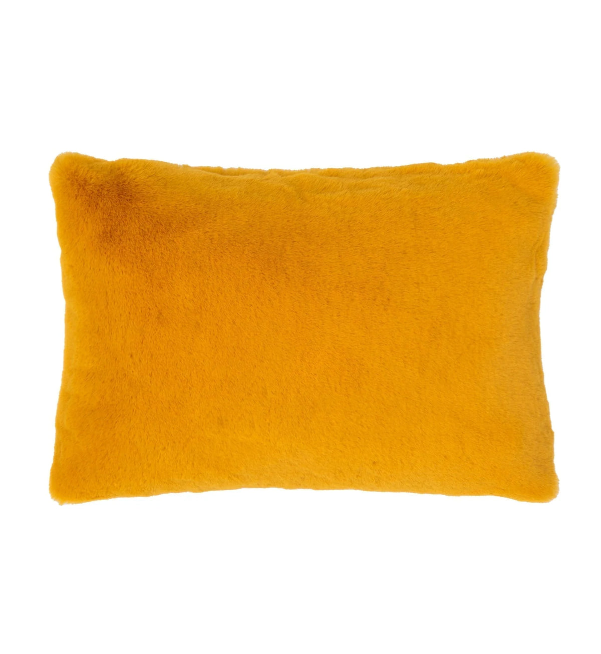 Saloni Sunbeam